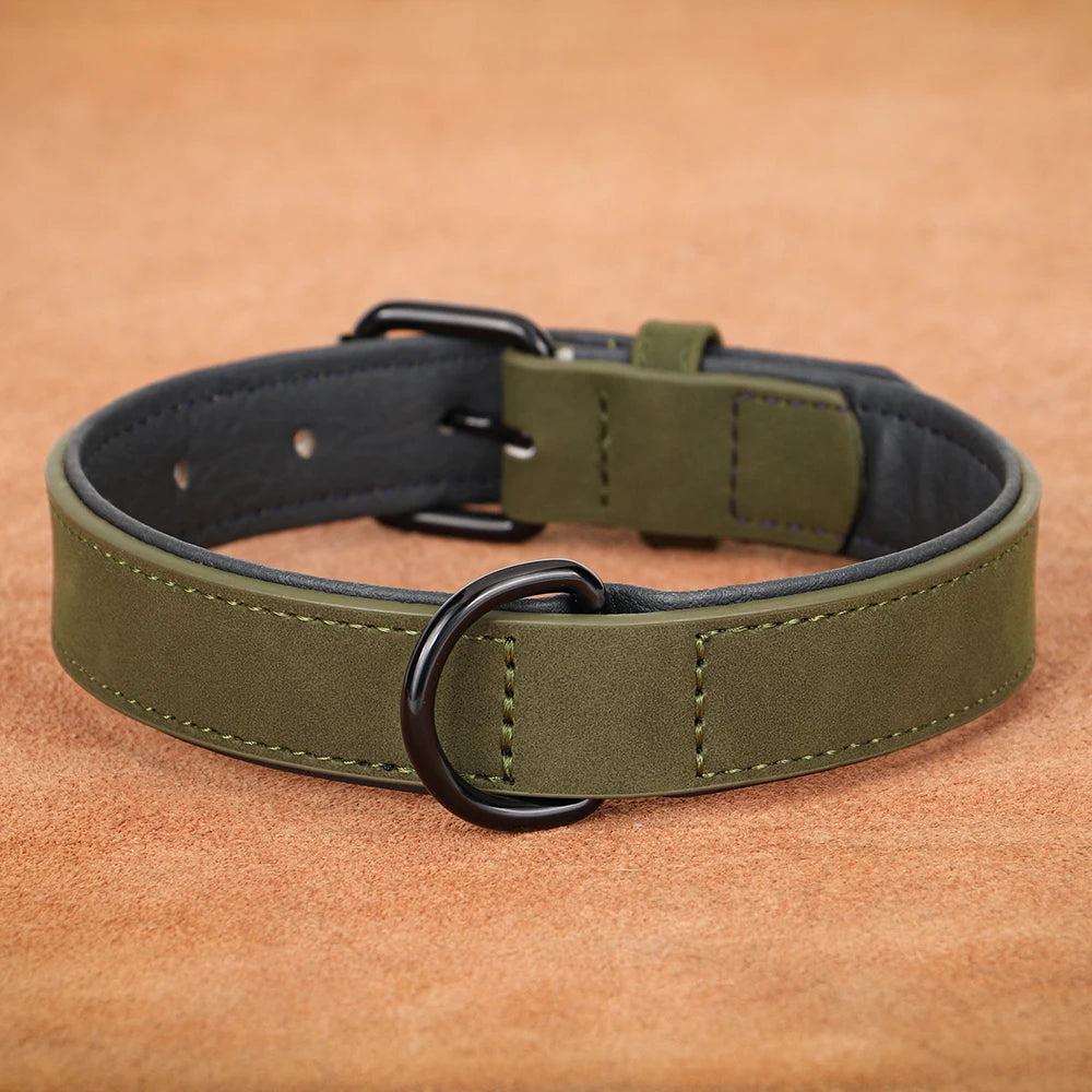 Large Dog Collar – Soft Padded Real Leather Collar for Big Dogs like Rottweiler, Labrador & Pitbull