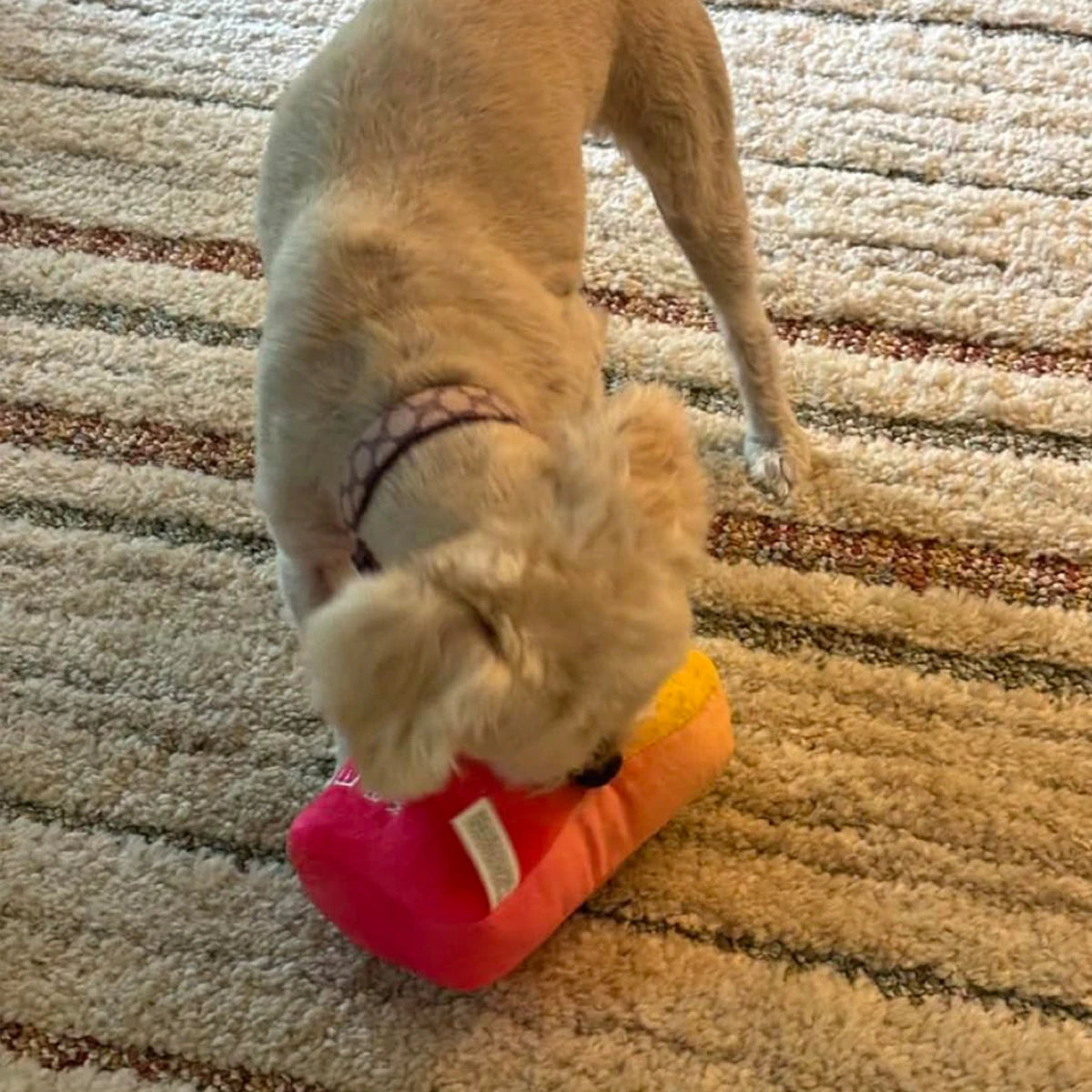 Funny Squeaky Dog Toys – Cute Parody Plush Toys for Small, Medium & Large Dogs