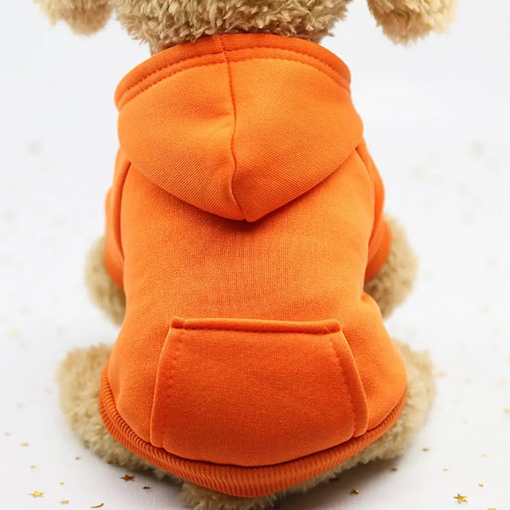 Puppy Pet Hooded Sweatshirt – Two-Legged Autumn/Winter Outfit with Pocket for Cats & Dogs