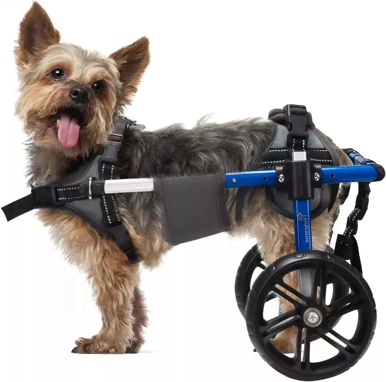 Adjustable Dog Wheelchair for Back Legs – Large Size with All-Terrain Wheels
