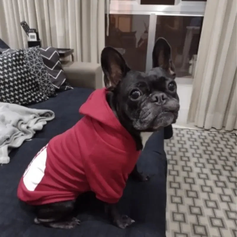 Pet Dog Hoodie – Autumn/Winter Sweatshirt for Large Dogs with “Dog Face” Text Pattern