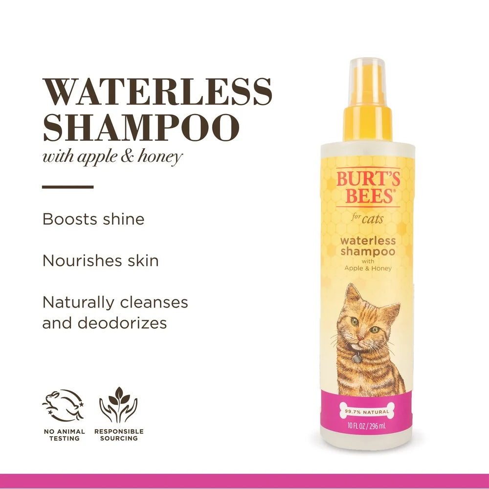 Natural Waterless Dry Shampoo for Cats & Kittens – Shea Butter & Honey Grooming Spray, pH Balanced Gentle Cleanser