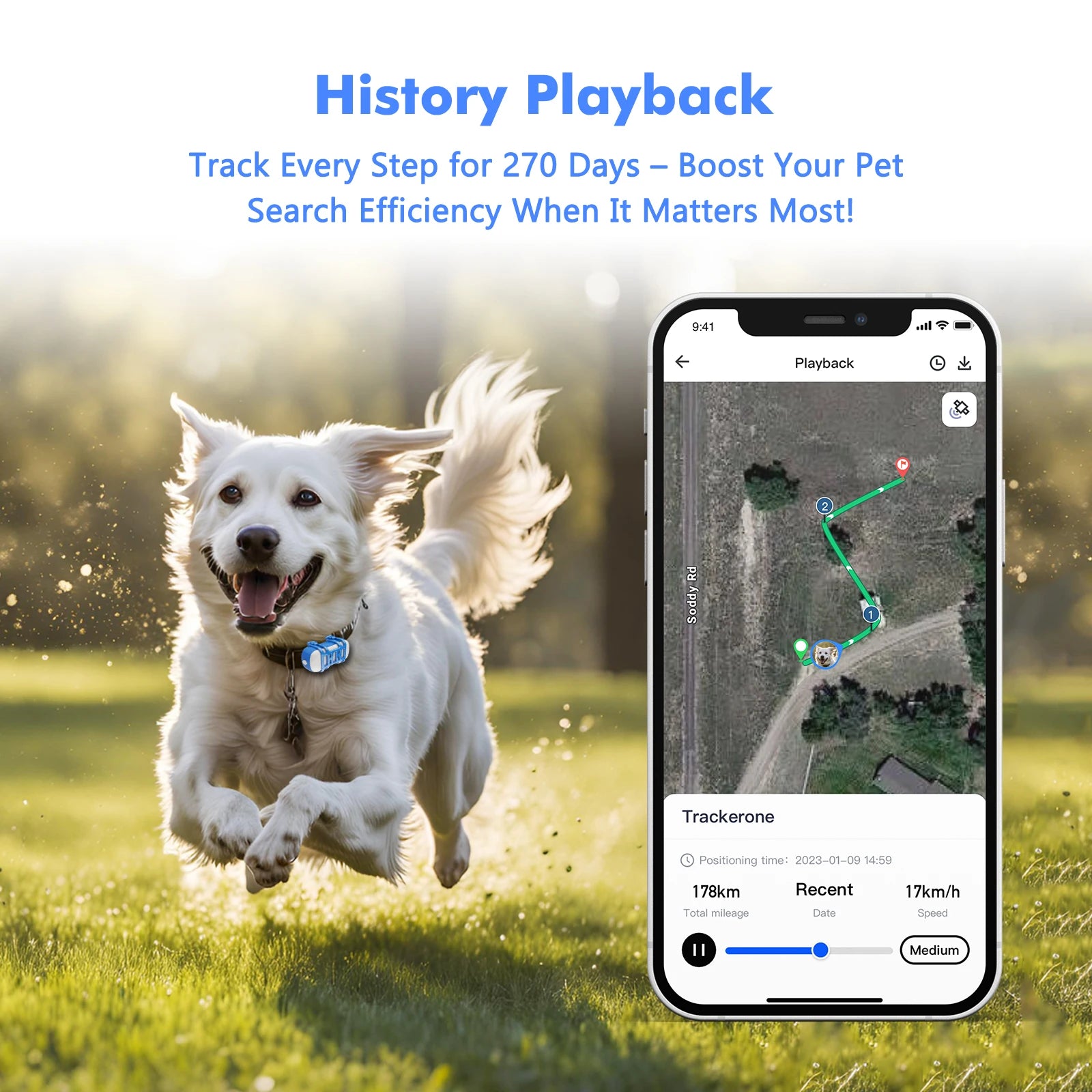 4G GPS Tracker for Dogs & Cats – Waterproof Smart Pet Locator with App, Live Tracking, Light & Sound Alerts (Subscription Required)