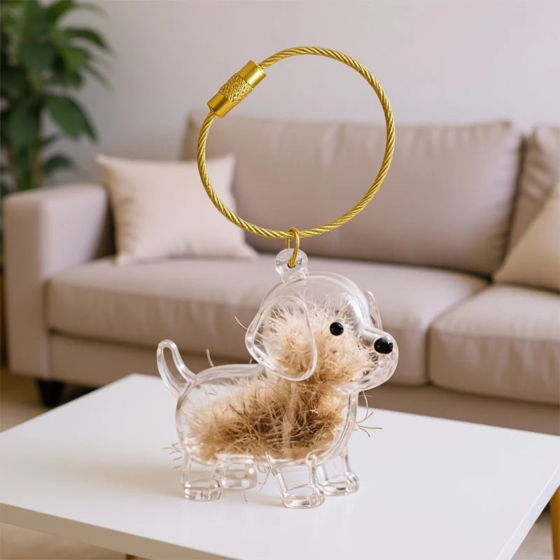 Dog Fur Keepsake Capsule – Clear Pet Hair Memorial Keychain, DIY Pendant & Home Display Gift