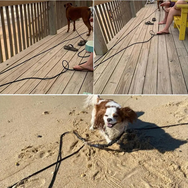Long Rope Training Dog Leash – 5M / 10M / 15M Heavy-Duty Nylon Recall & Agility Lead for Medium and Large Dogs