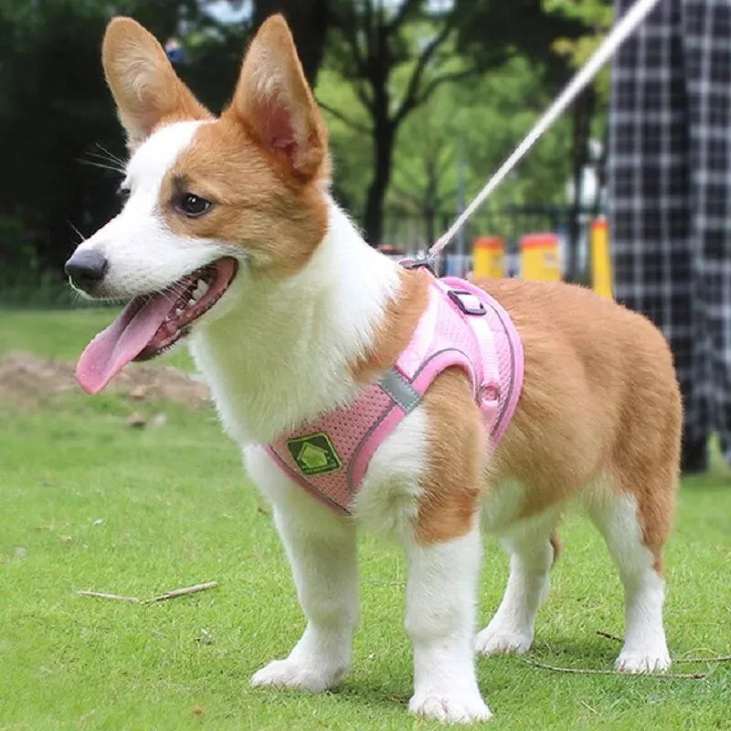 Reflective Pet Harness and Leash Set – No Pull Dog Vest with Breathable Mesh for Dogs & Cats
