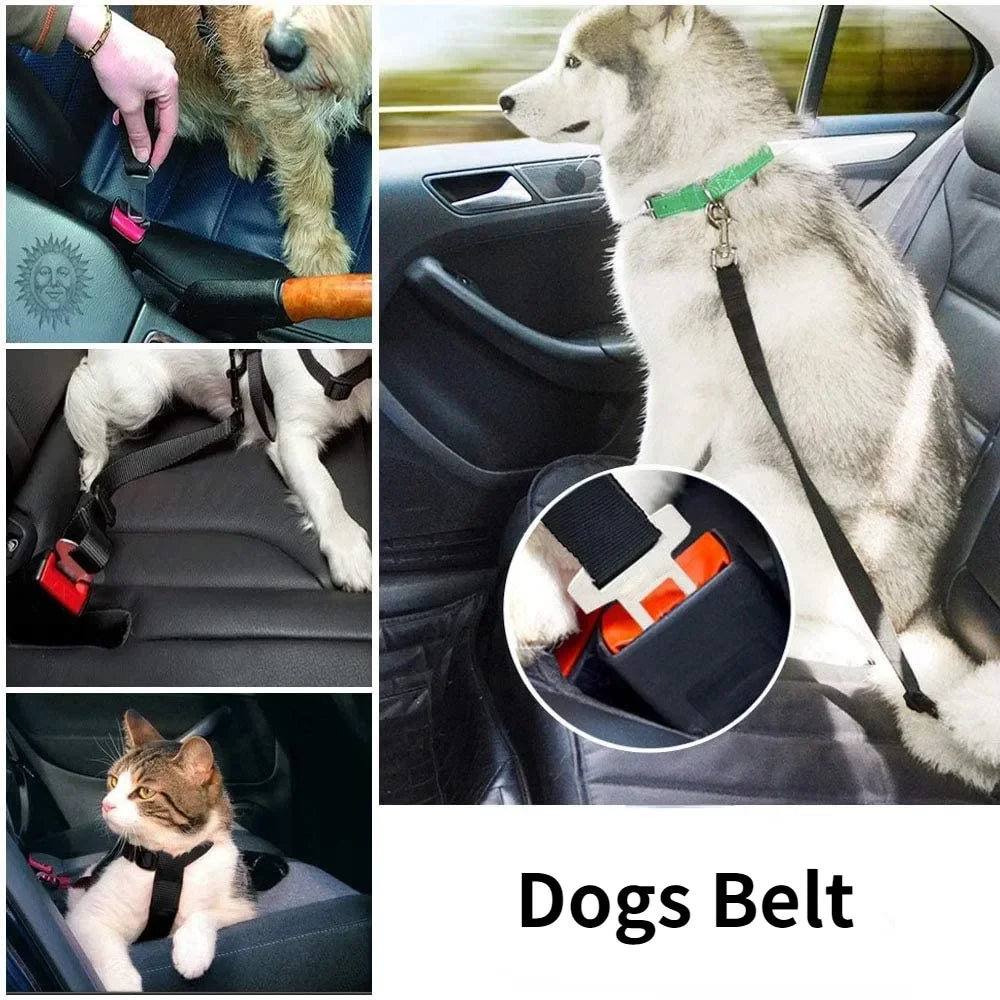 Dog Car Seat Belt – Adjustable Safety Harness Clip for Dogs & Cats