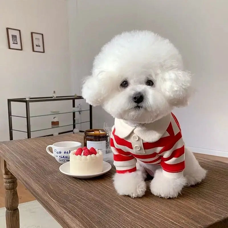 πΎ Fashion Striped Pet Shirt β Lightweight Summer Outfit for Dogs & Cats