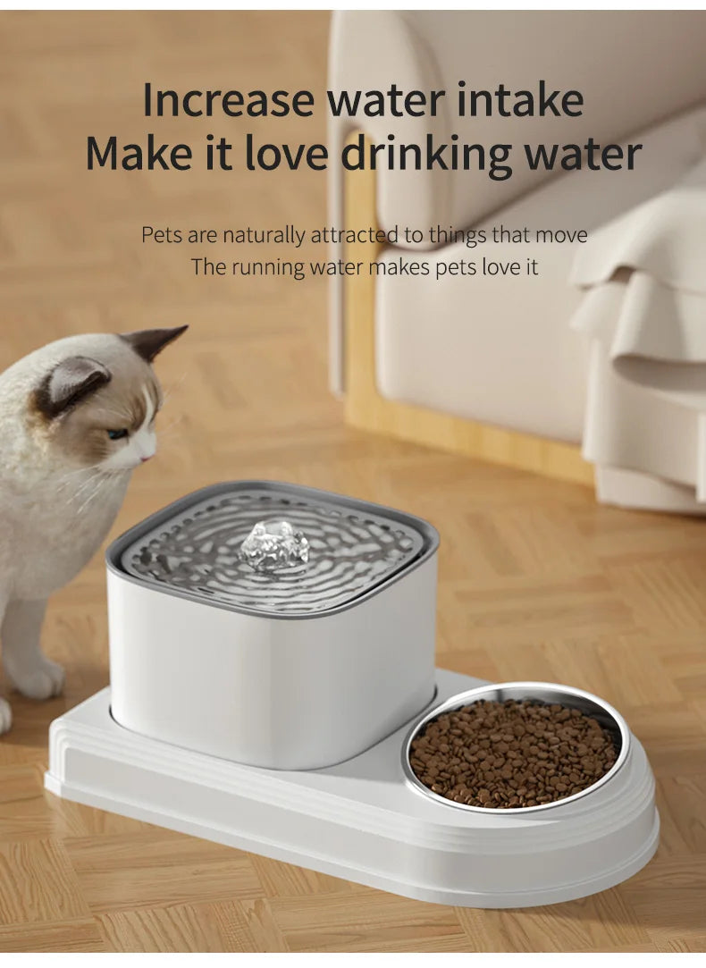 2-in-1 Cat Water Fountain & Feeding Bowl – 3L Automatic Recirculating Pet Dispenser