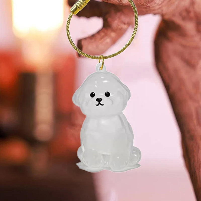 Dog Fur Keepsake Capsule – Clear Pet Hair Memorial Keychain, DIY Pendant & Home Display Gift