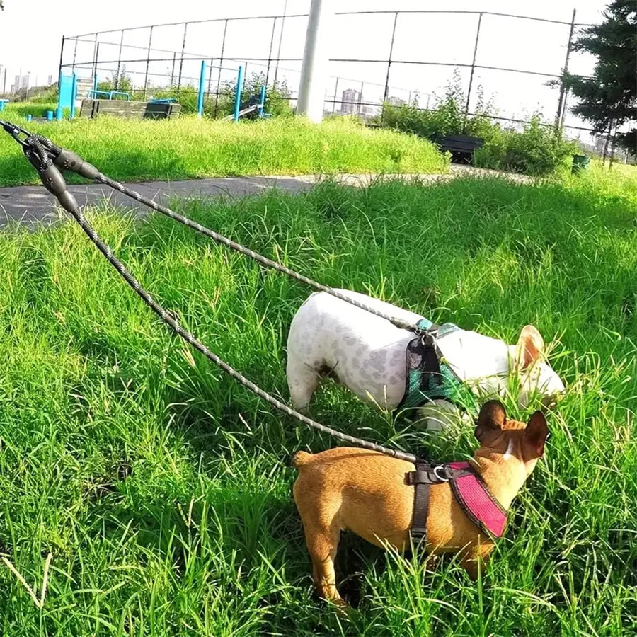 Dual Dog Leash – 360° Swivel No-Tangle Walking Lead for Small Dogs