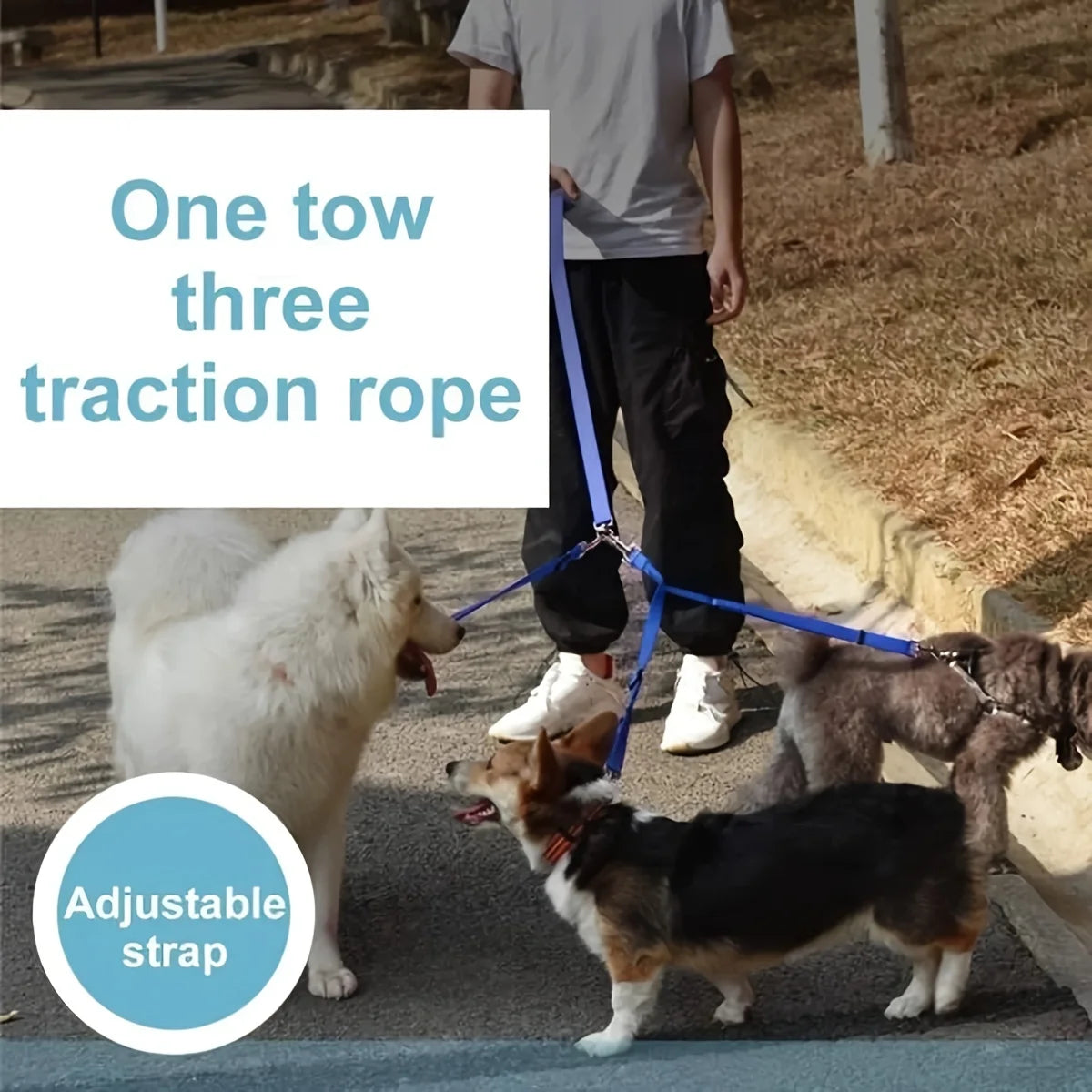 3-in-1 Durable Nylon Dog Leash – Outdoor Walking, Car Travel & Hiking Leash with Padded Handle