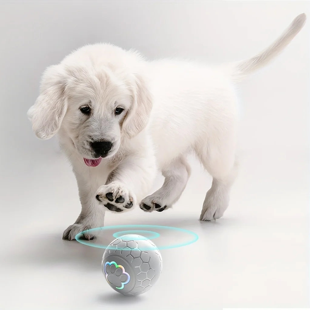 Smart Electronic Interactive Pet Toy Ball – USB Rechargeable Automatic Bouncing & Rolling Ball with RGB Lights for Dogs & Cats