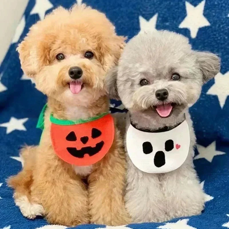 Halloween Dog & Cat Lace Bib – Pumpkin & Ghost Festival Pet Costume Accessory