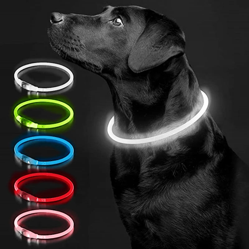 USB Charging LED Luminous Dog Collar – Adjustable Flashing Safety Light Necklace for Dogs & Cats