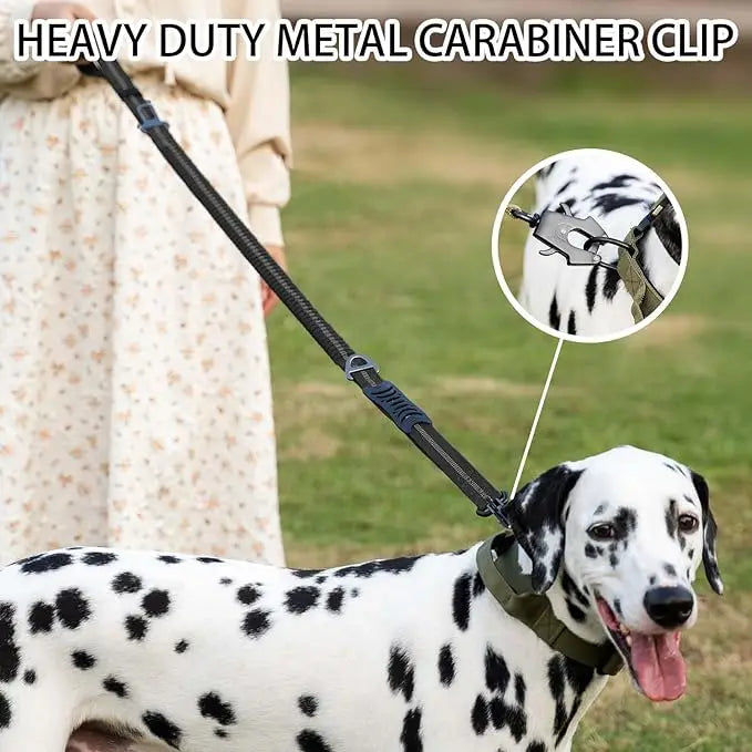 Reflective Shock-Absorbing Tactical Bungee Dog Leash with Car Seatbelt Clip – Heavy Duty No-Pull Leash for Large Dogs