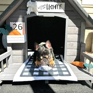 100% Insulated Outdoor Dog House – Winter Dog Kennel with Waterproof Liner & Sturdy Metal Frame