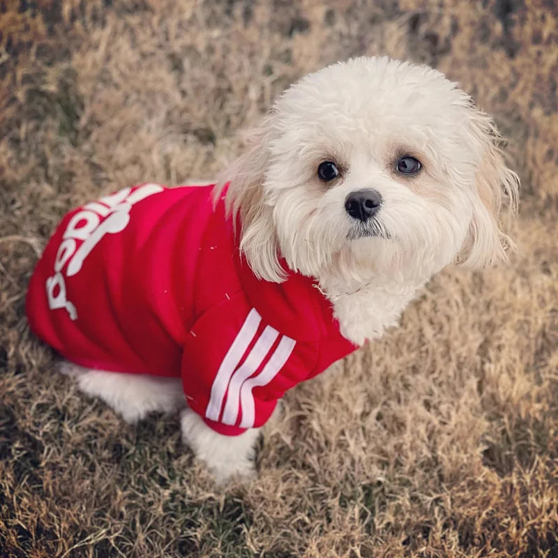 Adidog Dog Hoodie – Cotton Hooded Sweatshirt for Small to Large Dogs (XS–5XL)