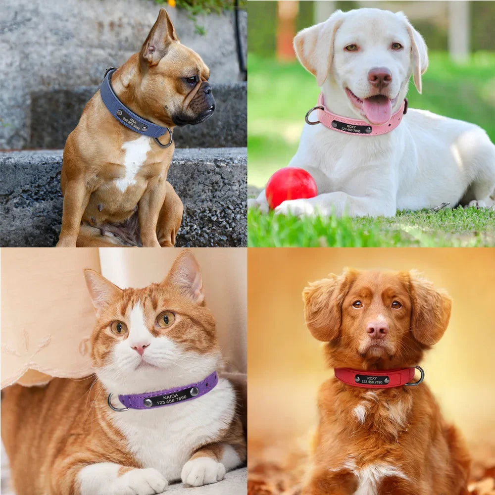 ersonalized Leather Dog Collar with Engraved ID Nameplate – Soft Padded Custom Collar for Small, Medium & Large Dogs