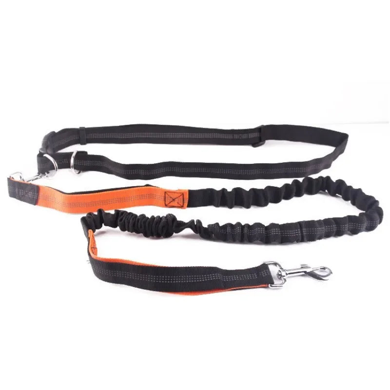 Hands-Free Dog Leash with Waist Belt – Adjustable for Walking, Running & Jogging