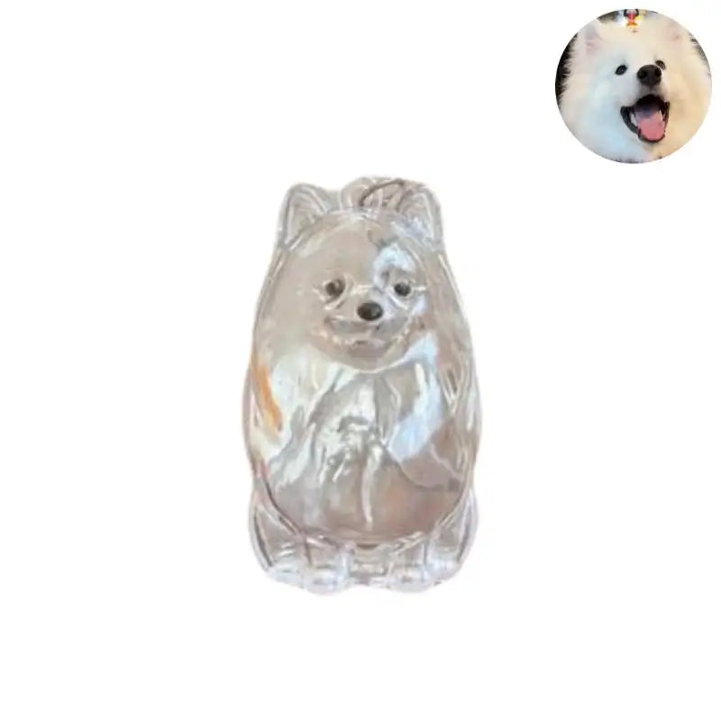 Cute Dog Hair Storage Keychain Transparent Pet Fur Keepsake Capsule Bag Pendant Decor Souvenir Collection Gift Memorial Jewelry