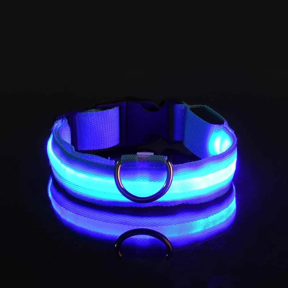 LED Dog Leash & Collar – Nylon Glow-in-the-Dark Safety Set for Night Walks