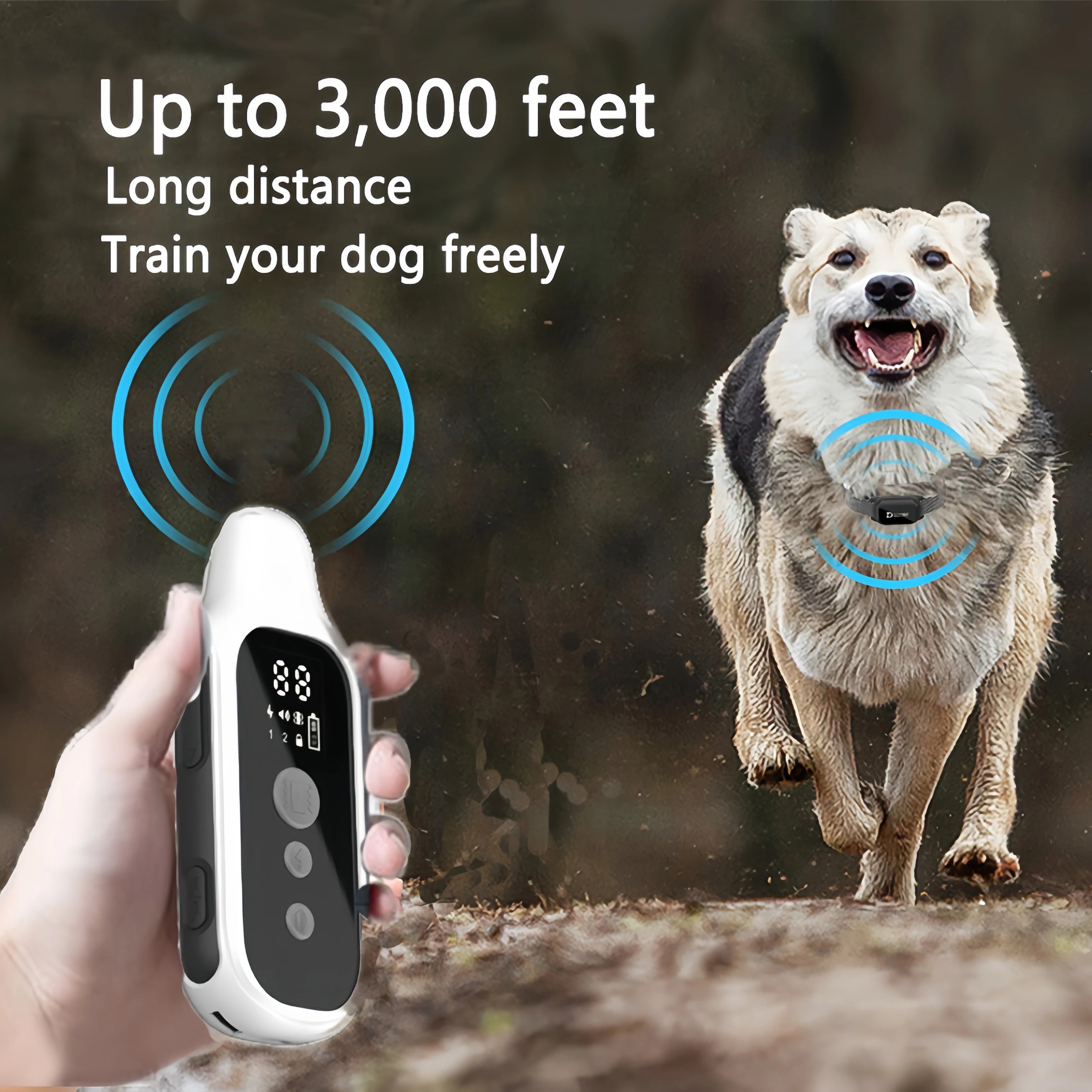 800m Rechargeable Dog Training Collar – Waterproof with LCD Remote, Shock, Vibration & Sound