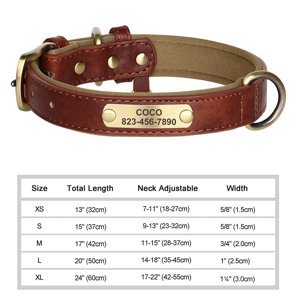 ersonalized Leather Dog Collar with Engraved ID Nameplate – Soft Padded Custom Collar for Small, Medium & Large Dogs