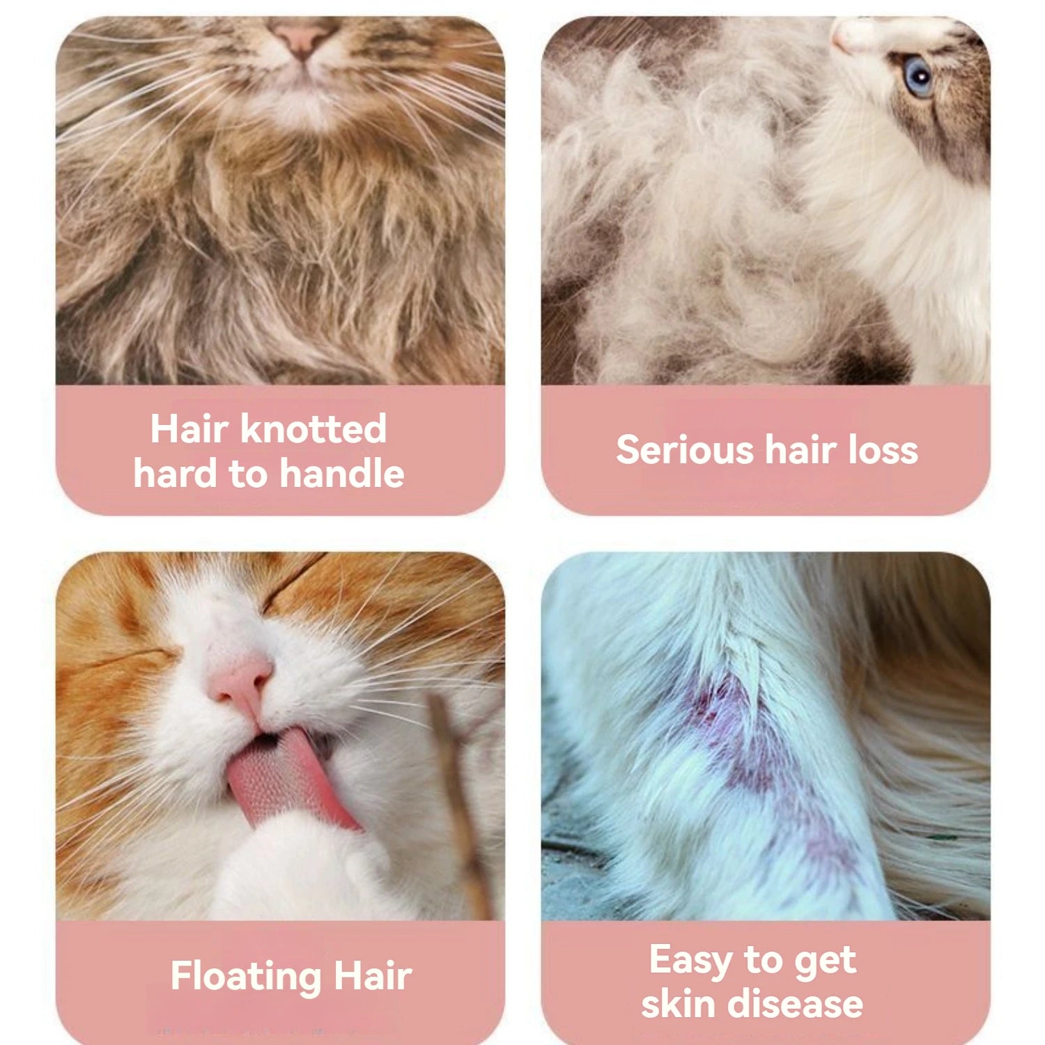 Cat Steam Brush – Pet Spray Hair Removal Comb for Shedding & Grooming | Water Mist Detangler Brush for Cats, Dogs & Small Animals