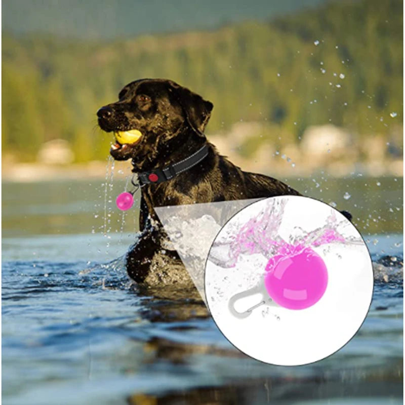 LED Luminous Dog Collar – Adjustable USB Rechargeable Glowing Pet Collar, Anti-Lost & Safety Flashing Light