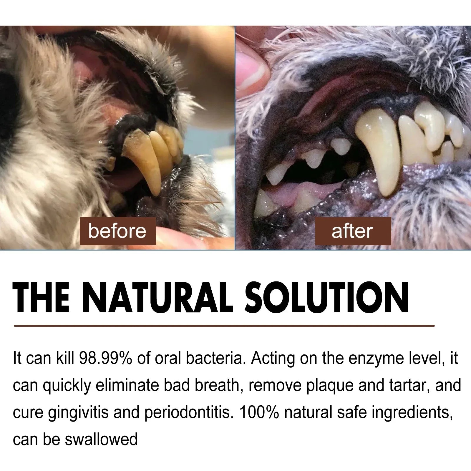 Pet Dental Care Spray – 30ml Oral Cleaning & Breath Freshener for Dogs and Cats | Deodorizing Tooth Cleaning Spray