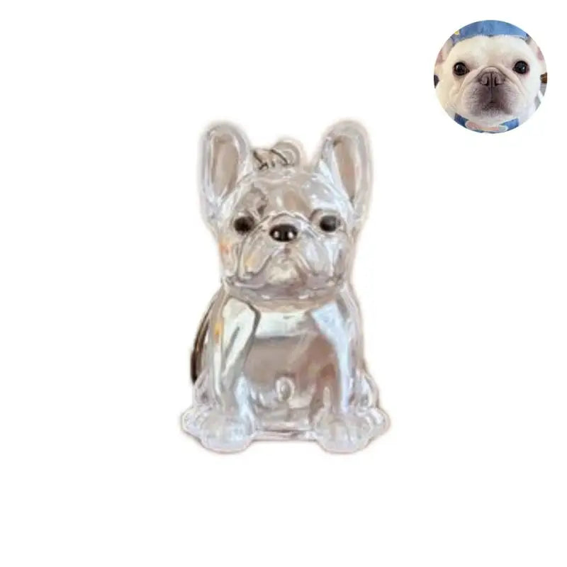 Cute Dog Hair Storage Keychain Transparent Pet Fur Keepsake Capsule Bag Pendant Decor Souvenir Collection Gift Memorial Jewelry