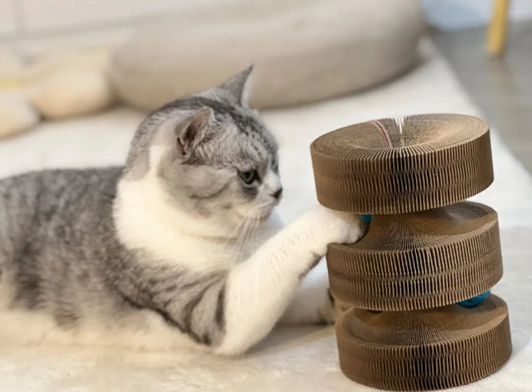 Cat Scratch Board Toy with Bell – Foldable Accordion Cardboard Climbing Frame & Ball | Recyclable Interactive Toy for Kittens & Cats
