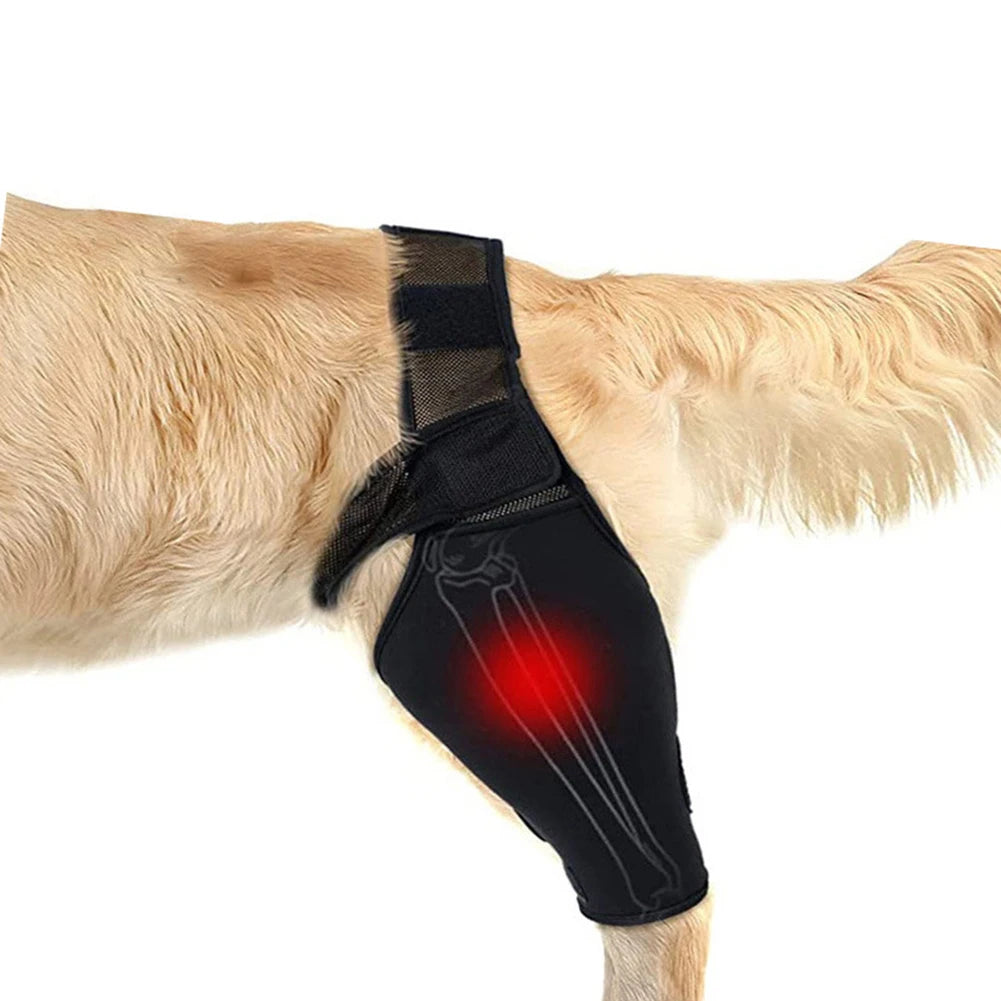 Universal Dog Hip & Knee Brace – Breathable, Elastic Leg Support for Pets