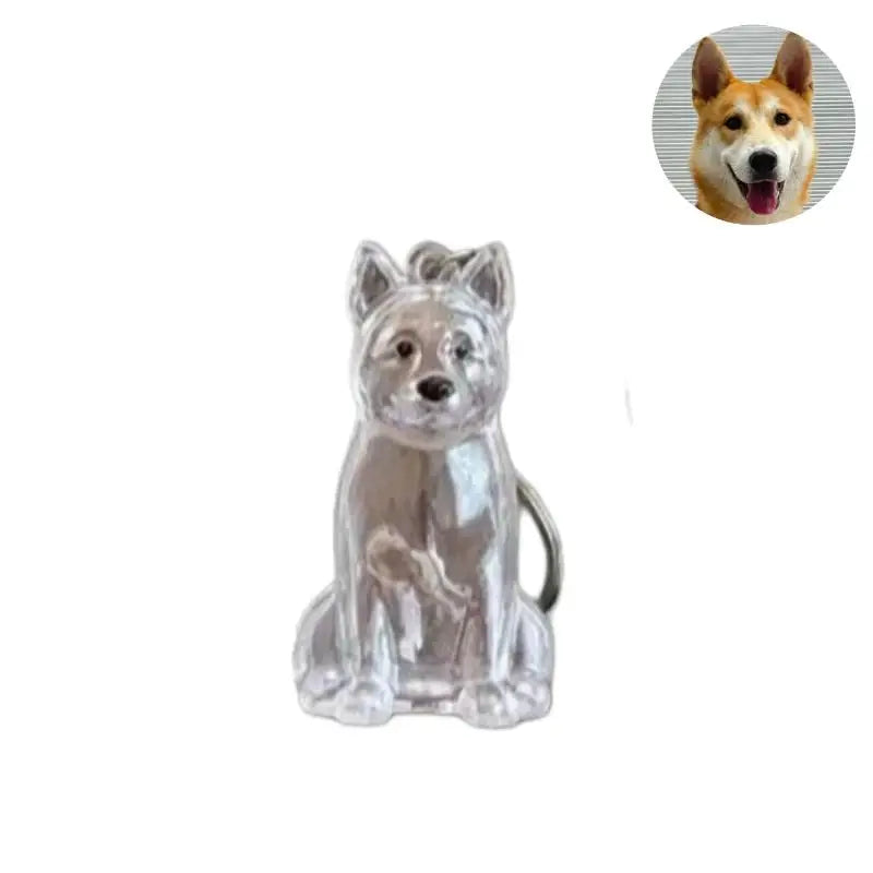 Cute Dog Hair Storage Keychain Transparent Pet Fur Keepsake Capsule Bag Pendant Decor Souvenir Collection Gift Memorial Jewelry