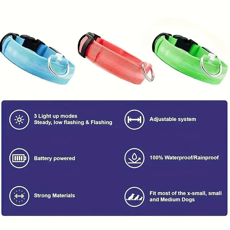 LED Dog Leash & Collar – Nylon Glow-in-the-Dark Safety Set for Night Walks