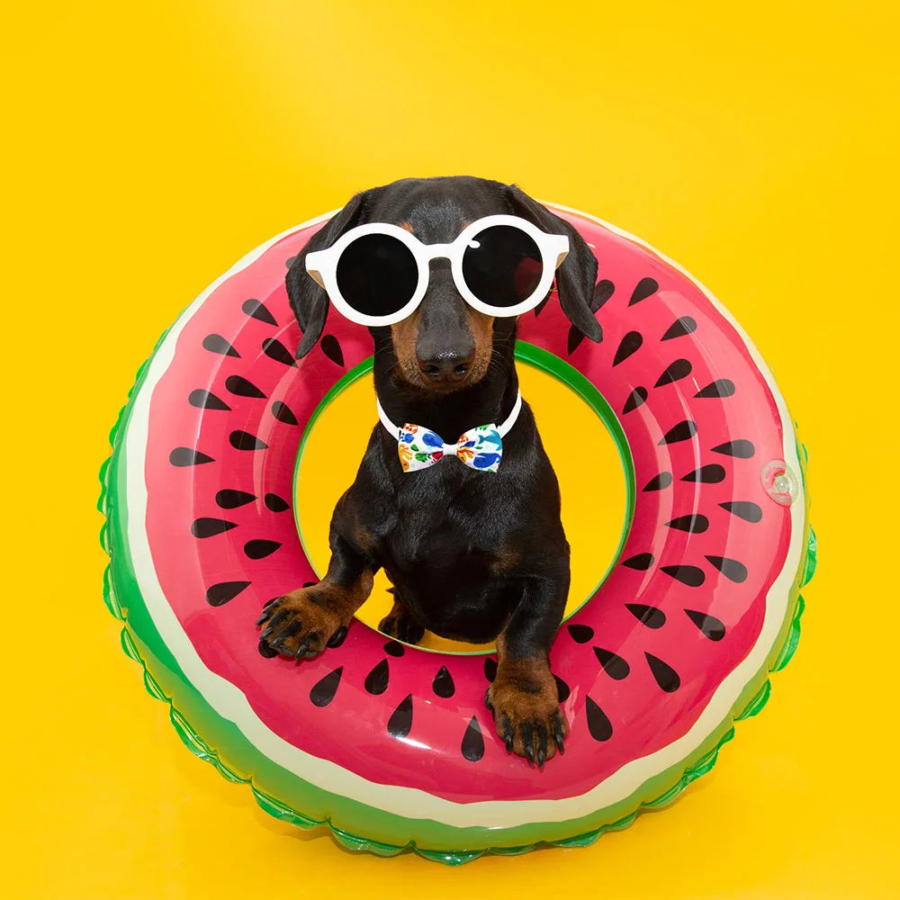 20PCS Summer Dog Bow Tie Set – Handmade Adjustable Collar Accessories for Dogs & Cats | Pet Grooming & Fashion Supply