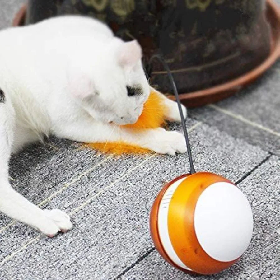 Interactive Cat Chaser Ball – 360° Rolling Self-Rotating Toy with LED Light, Sound & Detachable Feather