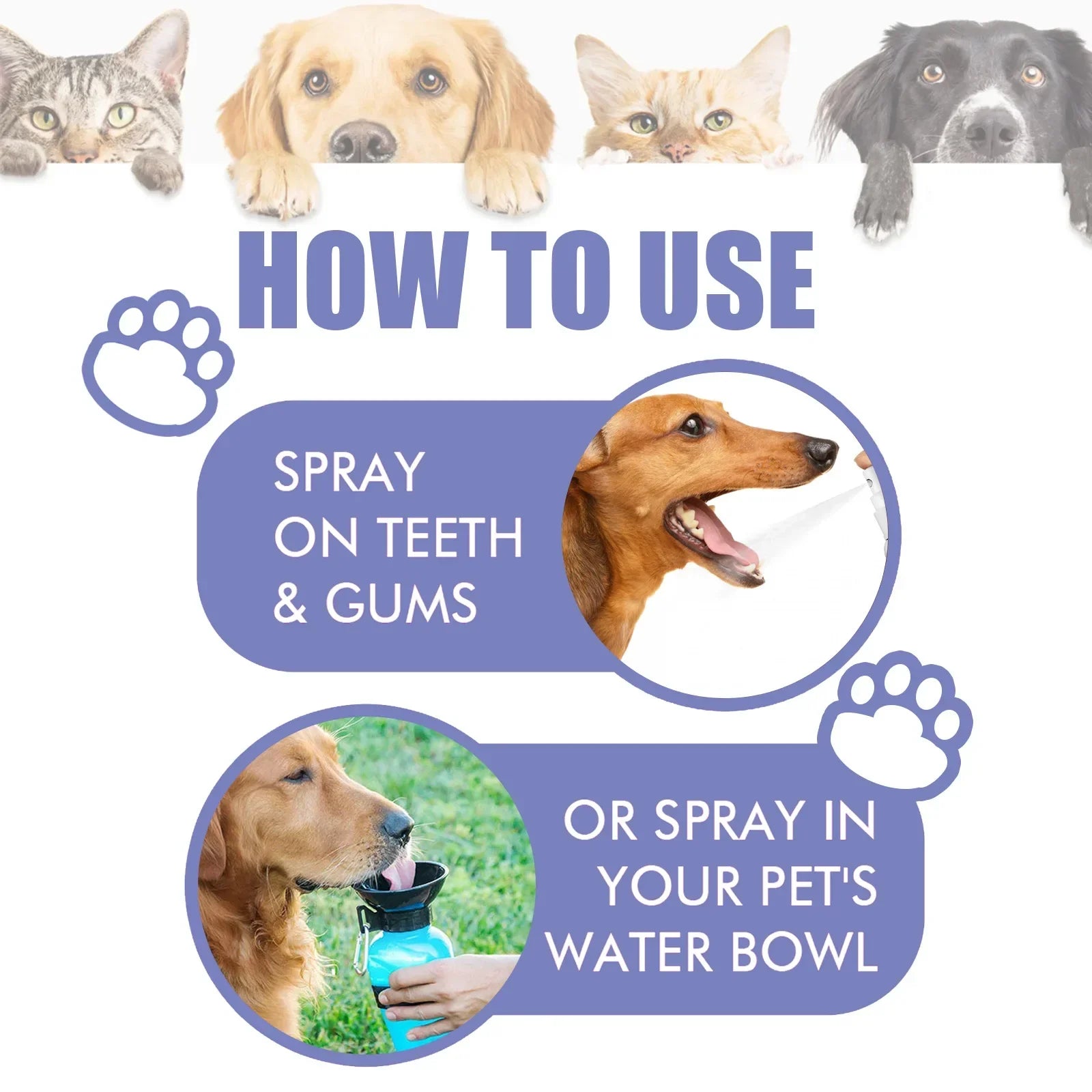 Pet Dental Spray – 30ml Tooth Cleaning & Fresh Breath Spray for Dogs & Cats, Oral Care & Bad Breath Deodorizer