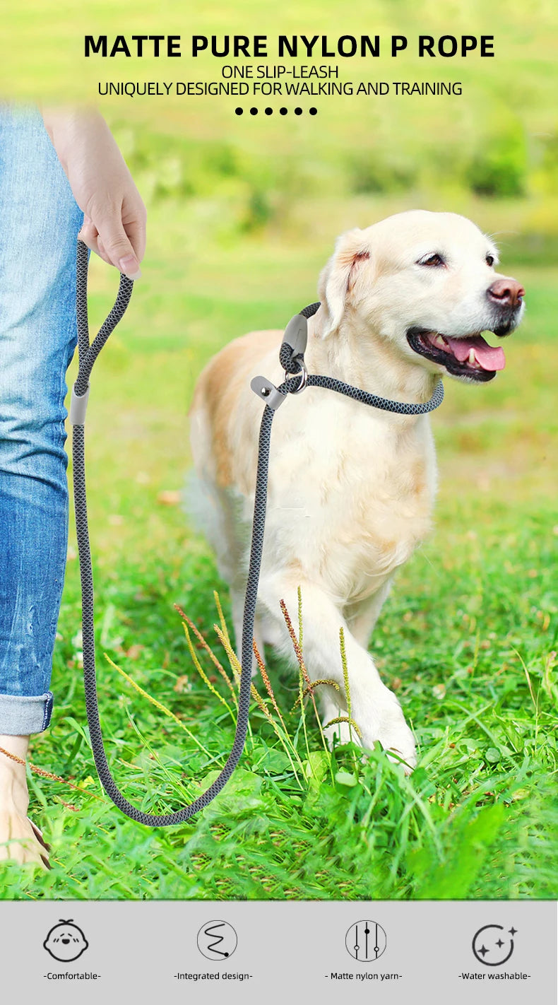 2-in-1 Classic Dog Collar and Leash Set – Adjustable Black Mesh P Rope Nylon Training Harness with Slip Strap