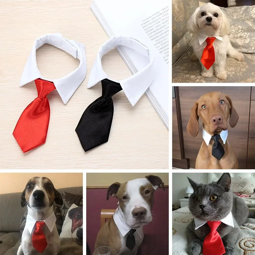 Formal Pet Tuxedo Necktie – Black & Red Bow Tie Collar for Dogs and Cats