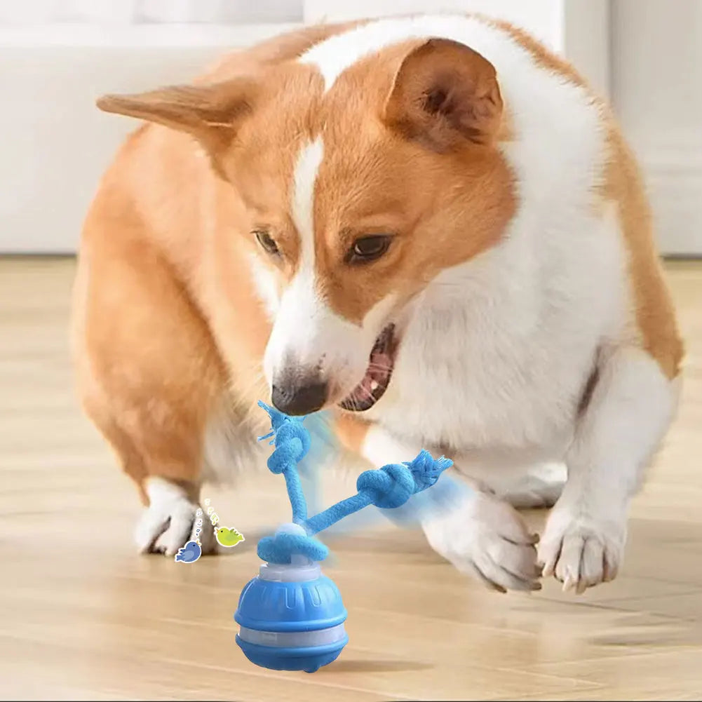 Interactive Dog Toy Ball – USB Rechargeable Motion-Activated Ball with Rope & Squeaker for Small & Medium Dogs, Puppy Play Toy