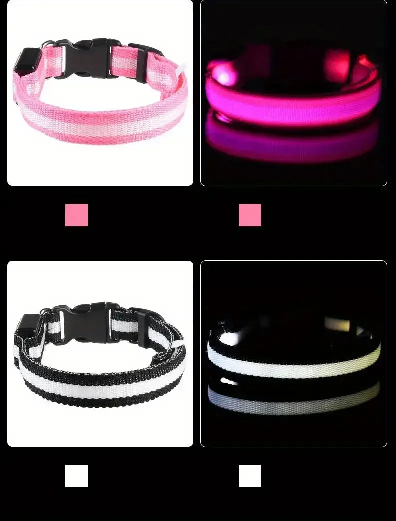 LED Dog Leash & Collar – Nylon Glow-in-the-Dark Safety Set for Night Walks
