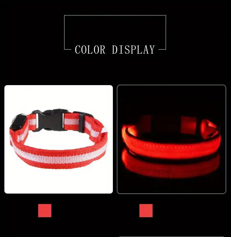 LED Dog Leash & Collar – Nylon Glow-in-the-Dark Safety Set for Night Walks