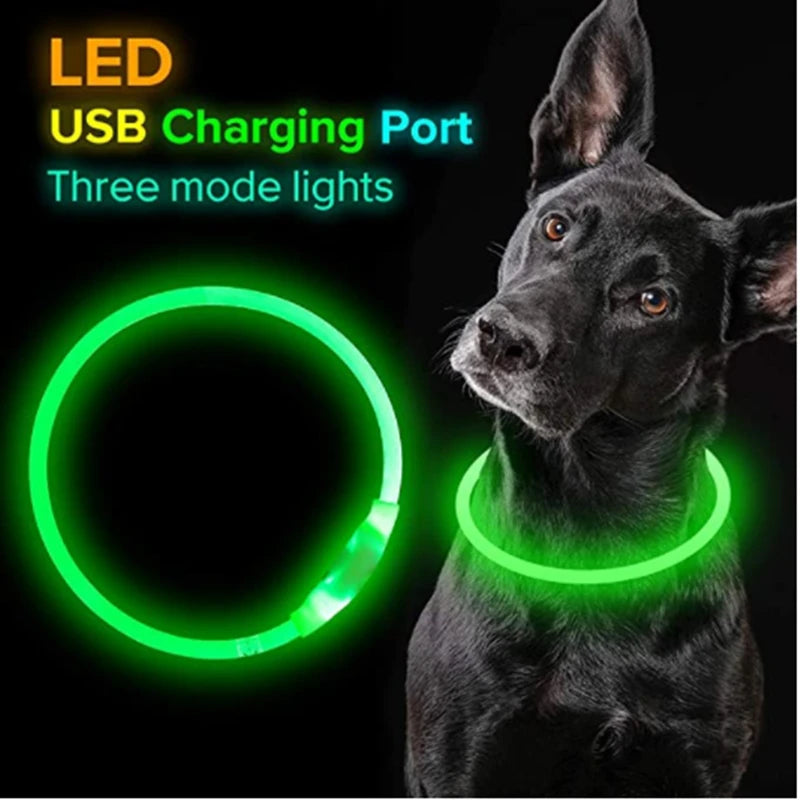 USB Charging LED Luminous Dog Collar – Adjustable Flashing Safety Light Necklace for Dogs & Cats