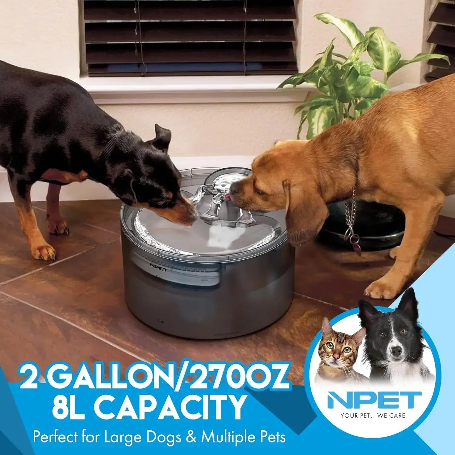 NPET 8L Large Dog Water Fountain – 2 Gallon Automatic Dispenser with Splatter Guard