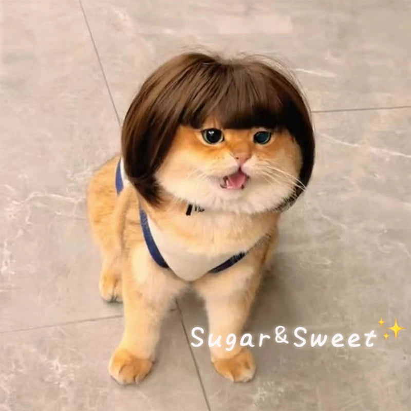 Funny Cat Wig – Lightweight Trimmable Pet Wig Accessory for Cats & Small Pets