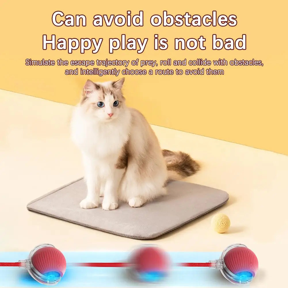 Rechargeable Automatic Cat Ball Toy – Smart Rolling Ball with Faux Tail for Interactive Play