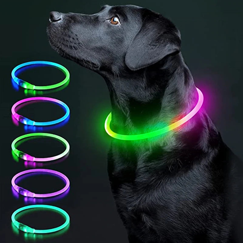 USB Charging LED Luminous Dog Collar – Adjustable Flashing Safety Light Necklace for Dogs & Cats