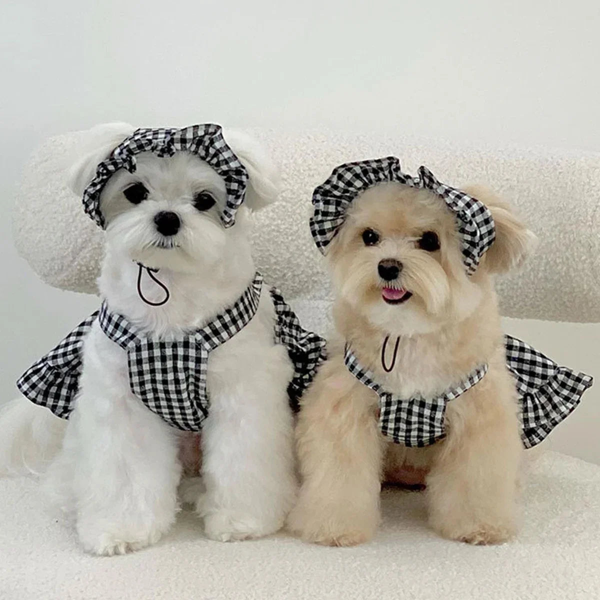 Dog Plaid Dress with Hat – Black & White Summer Outfit for Small Dogs and Puppies